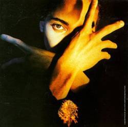 Terence Trent D'Arby : Neither Fish Nor Flesh